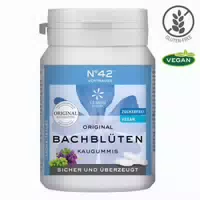 Selbstvertrauen Kaugummi nach Dr Bach 40 st Kaugummi