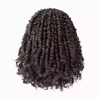 Hair Extension Passion Twist Pretwisted 25 4cm 10 Zoll 8er 1 st