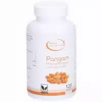 Hannes Pure Lebenslust Pangam B15