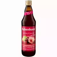 Rabenhorst Wohlfühlen Mit Eisen 6 X 700ml 4200 Ml