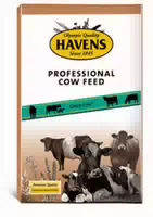 Havens Cow Junior
