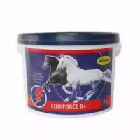 Havens Equiforce B