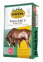 Havens Ferto Lac 3 Stuten Spez