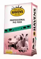 Havens Pig Allround