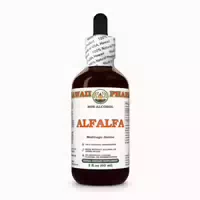 Süßholz Alkoholfrei Flüssigextrakt 1 st