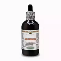 Bilberry Alkoholfrei Flüssigextrakt 1 st