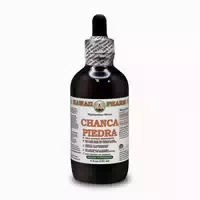 Chanca Piedra Alkoholfrei Flüssigextrakt 1 st