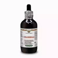 Chlorella Alkoholfrei Flüssigextrakt 1 st