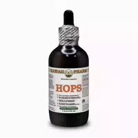Hopfen Alkoholfrei Flüssigextrakt 1 st