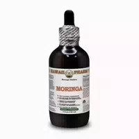 Moringa Alkoholfrei Flüssigextrakt 1 st
