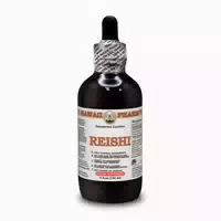 Reishi Pilz Alkoholfrei Flüssigextrakt 1 st