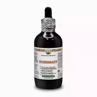 Bromelain Alkoholfrei Flüssigextrakt 1 st