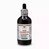 Papaya Alkoholfrei Flüssigextrakt 1 st
