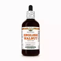 Walnuss Alkoholfrei Flüssigextrakt 1 st