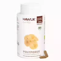 Hawlik Bio Polyporus Extrakt Kapseln 240