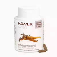 Hawlik Cordyceps Pulver Kapseln 120