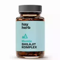 Shilajit Original Kapseln Von Hay Herb | Apothekenqualität | Patentiertes Primavie Mumijo Shilajit