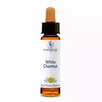 Healing Herbs White Chestnut Tropfen