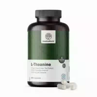 Healthyworld l Theanin 400 mg – Hochdosierte Aminosäure Fokus und Innere Ruhe