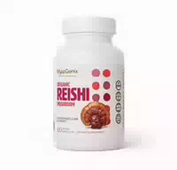 Chaga Pilz 1000mg 60 Vegane Kapseln