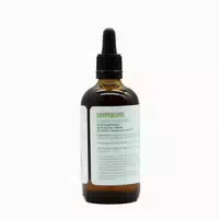 Cryptolepis Cryptolepis Sanguinolenta Tinktur 1:2 100ml 100 Ml