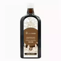 Cryptolepis Cryptolepis Sanguinolenta Tinktur 1:2 100ml 100 ml
