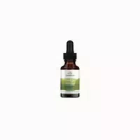 Swanson Ginkgo Biloba Flüssigextrakt