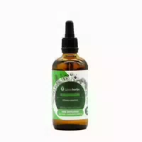 Schlafbeere Ashwagandha Alkoholfreier Extrakt 1:1 100ml 100 Ml