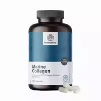 Healthyworld Meereskollagen 1170 mg – Fischkollagen Typ I & Iii für Haut, Haare & Nägel