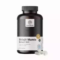 Healthyworld Shilajit Mumie 10:1 – Mineralharz mit 20 % Fulvinsäure