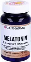 Melatonin 0,5 mg Gph Kapseln 90 st