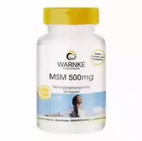 Gall Pharma Msm 500 Mg Gph Kapseln