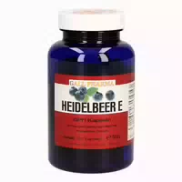 Heidelbeer E 400 Mg Kapseln 120 St