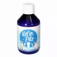 Kefir Pilz Zur Bereitung Aus Milch 1 St