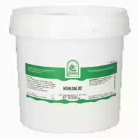 Kühlsalbe 1000 g