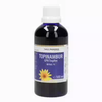 Topinambur Tropfen 100 Ml
