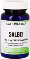 Salbei 120 mg Gph Kapseln 360 Stück