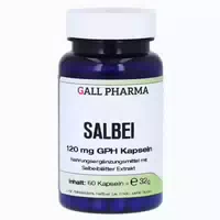 Salbei 120 Mg Gph Kapseln 60 St