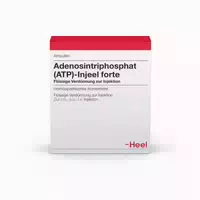 Adenosintriphosphat Atp Injeel Forte Ampullen