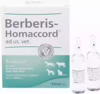 Berberis Homaccord Vet 5 X 5 ml Ampullen