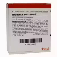Bronchus Suis Injeel Ampullen 10 St Ampullen
