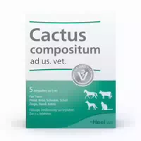 Cactus Compositum Ad Us Vet Ampullen