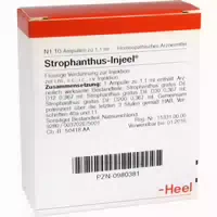 Cerebrum Suis Injeel Ampullen 10 St Ampullen