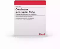 Cerebrum Suis Injeele Forte 1,1 ml