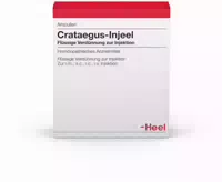 Crataegus Injeel Ampullen 10 st Ampullen