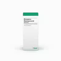 Dulcamara Homaccord Tropfen 100 ml Tropfen