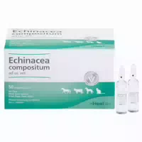 Echinacea Compositum Ad Us Vet Ampullen 50 St