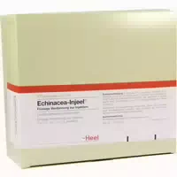Echinacea Injeel Ampullen 100 St Ampullen