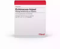 Echinacea Injeel Ampullen 100 st Ampullen