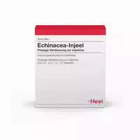 Echinacea Injeel Ampullen 100 St